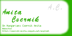 anita csernik business card